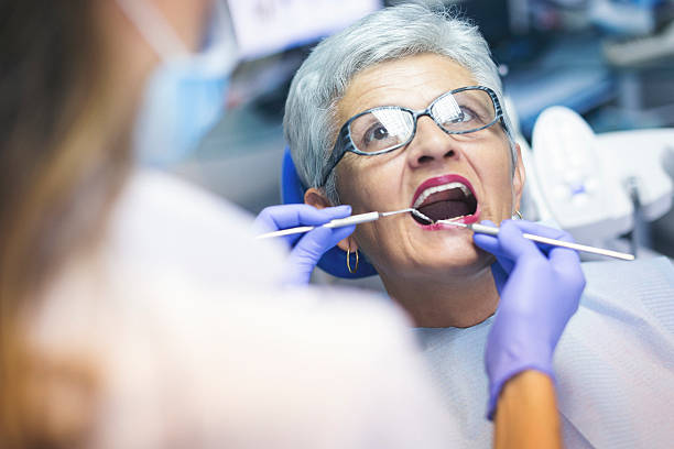 Professional Dental Services in South Pasadena, FL